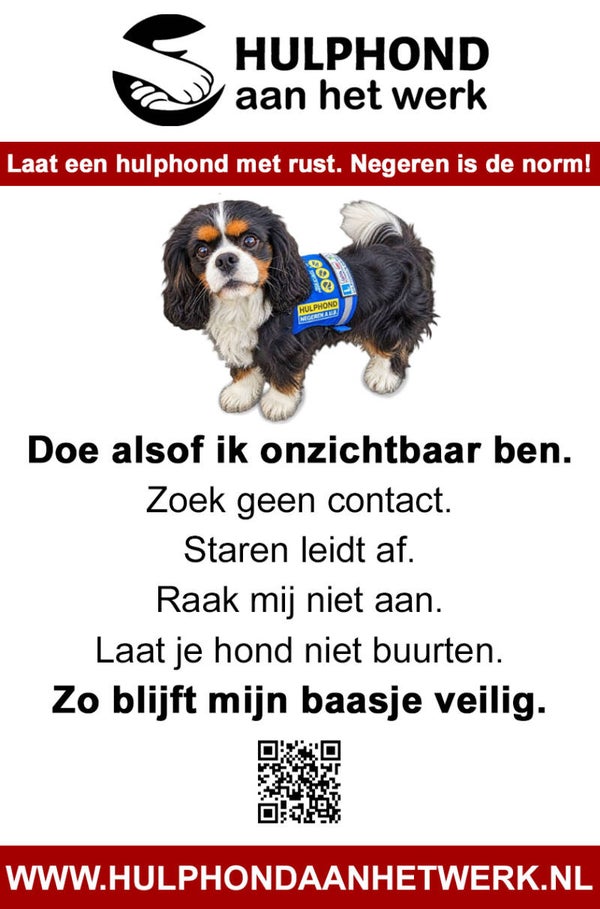 Fysieke A4-Campagneposter – "Negeren is de norm"