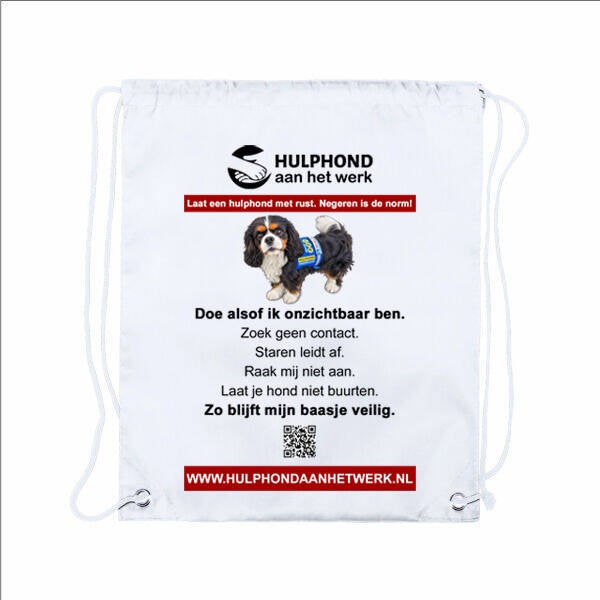 Fysiek Mega Spreekbeurtpakket – "Hulphond in de klas" (Met Rugtas!)