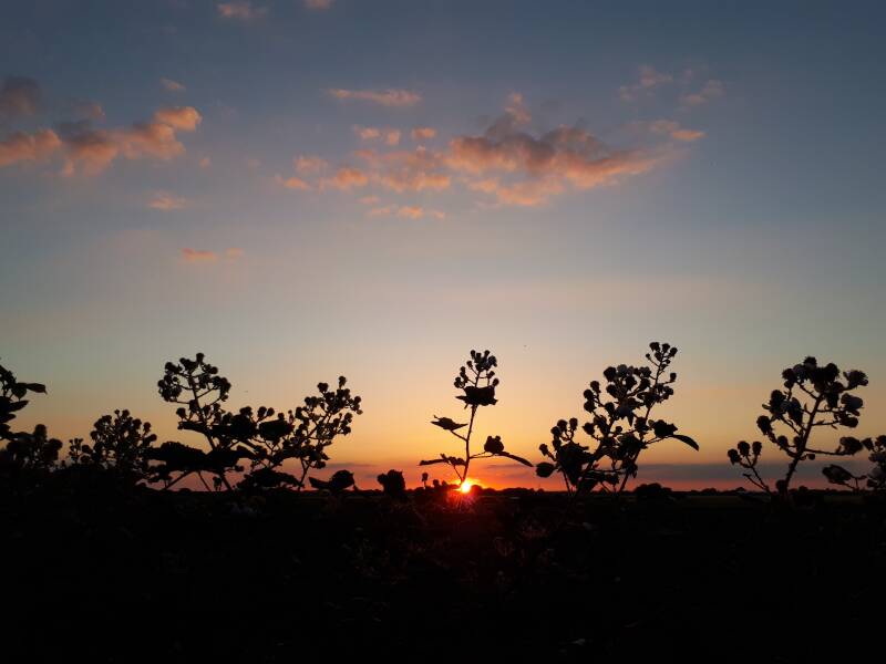 Sunset deeping st james lincolnshire