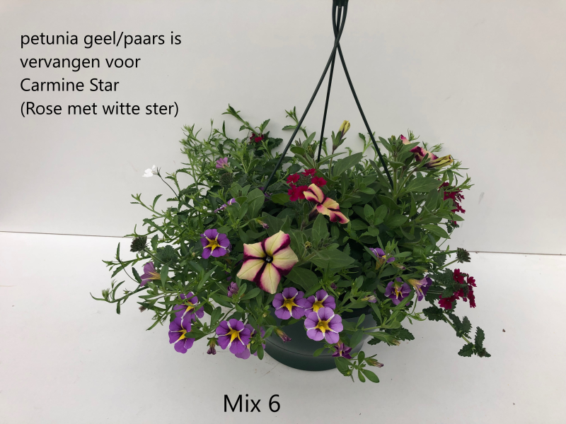 mix6-2.png