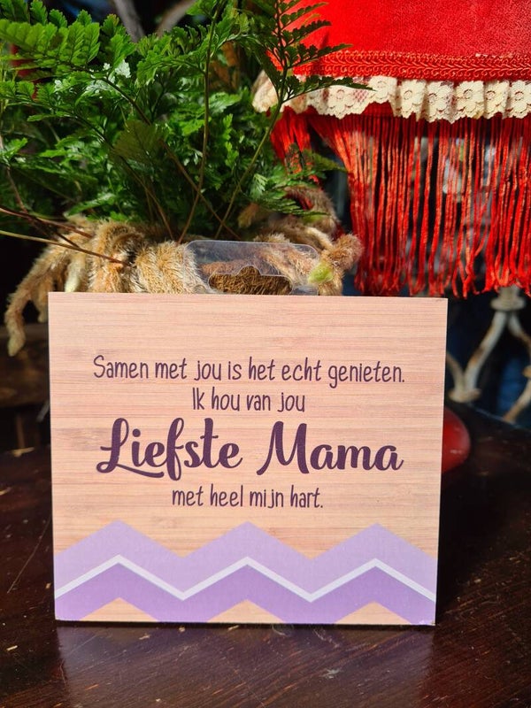Moederdag  houten tekst bordjes 