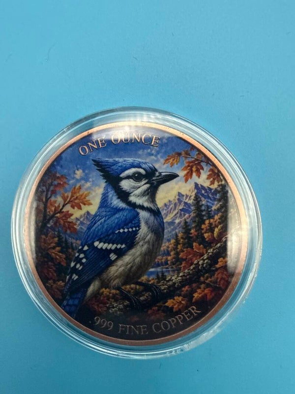 Baltimore Oriole 1 oz Copper Round — Colourized, North American Wildlife