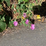 IMG_5644.jpg