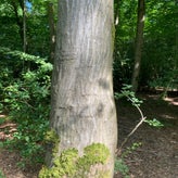 IMG_5674.jpg