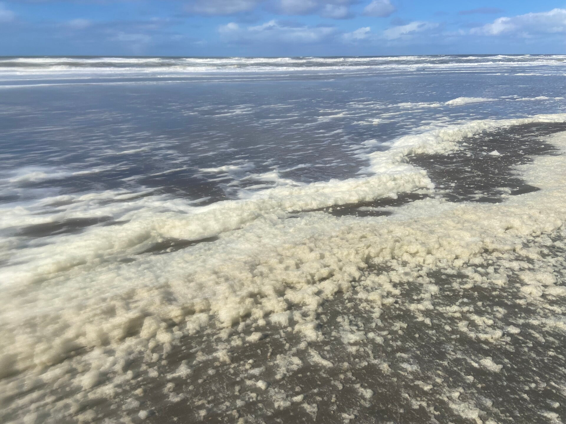 Seizoensspecial - Midwinter ✨