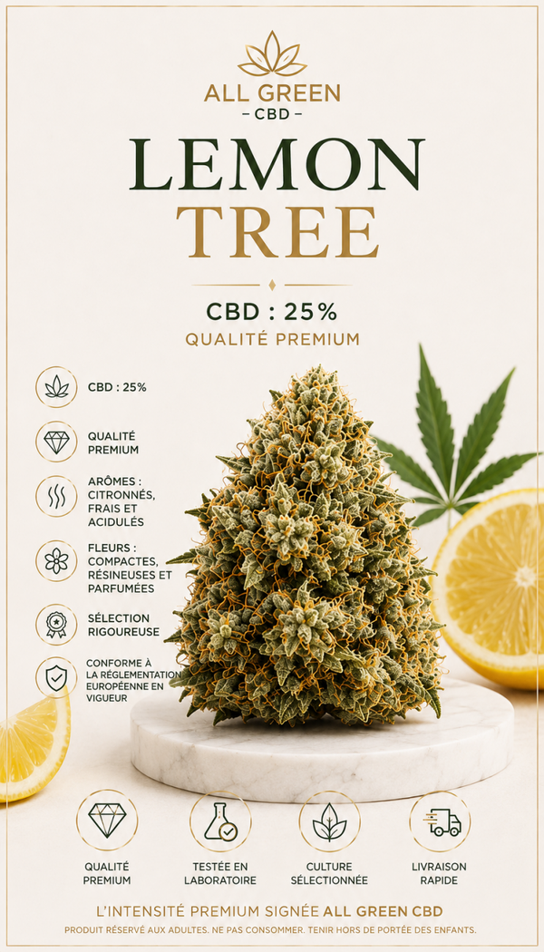 LEMON TREE CBD 25% QUALITÉ PREMIUM