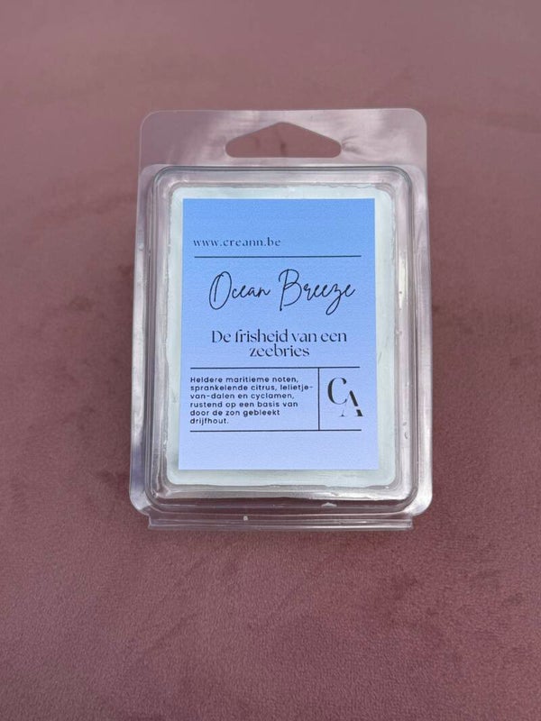 Ocean Breeze - Wax melts