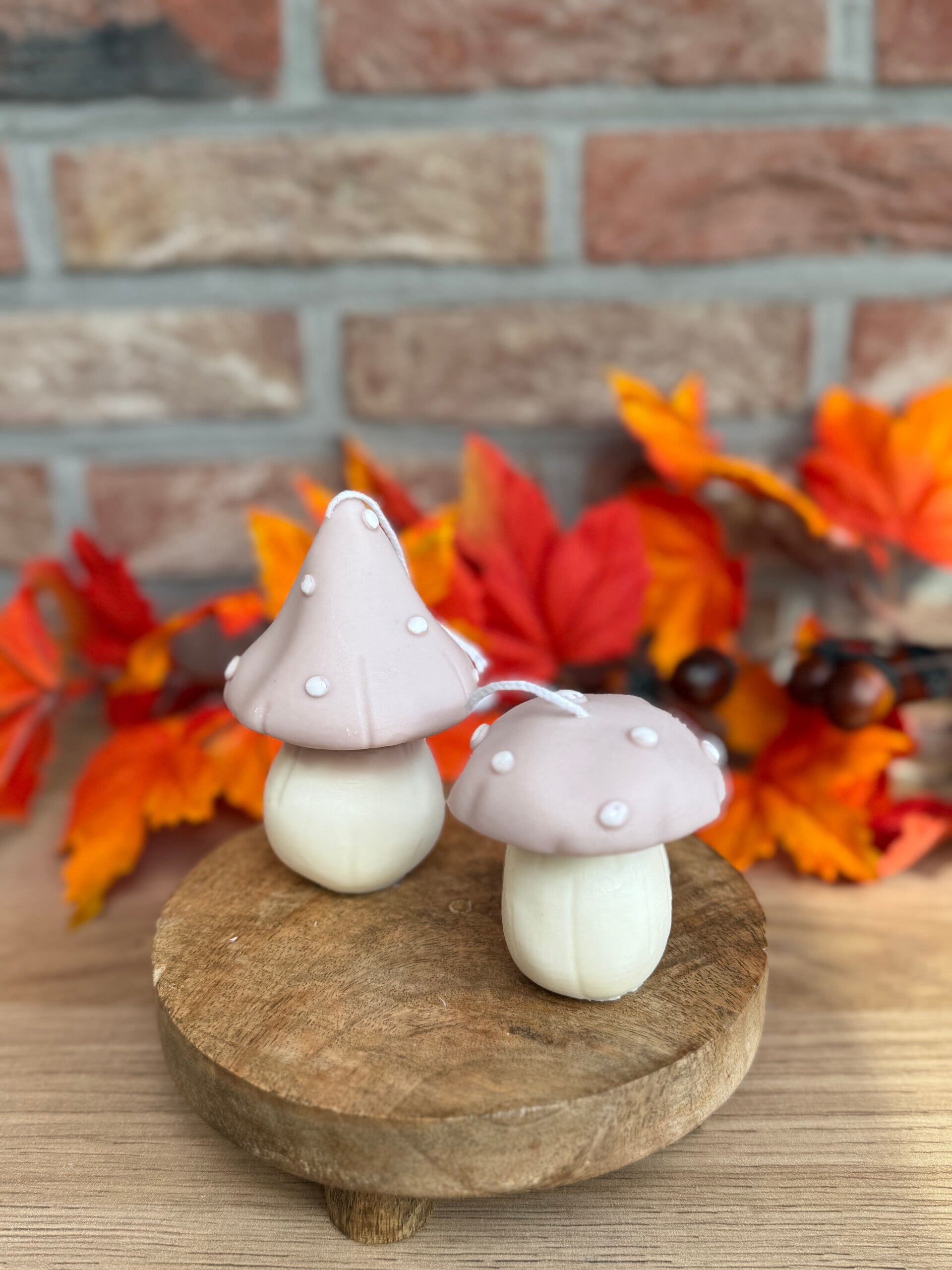 Paddenstoelen duo