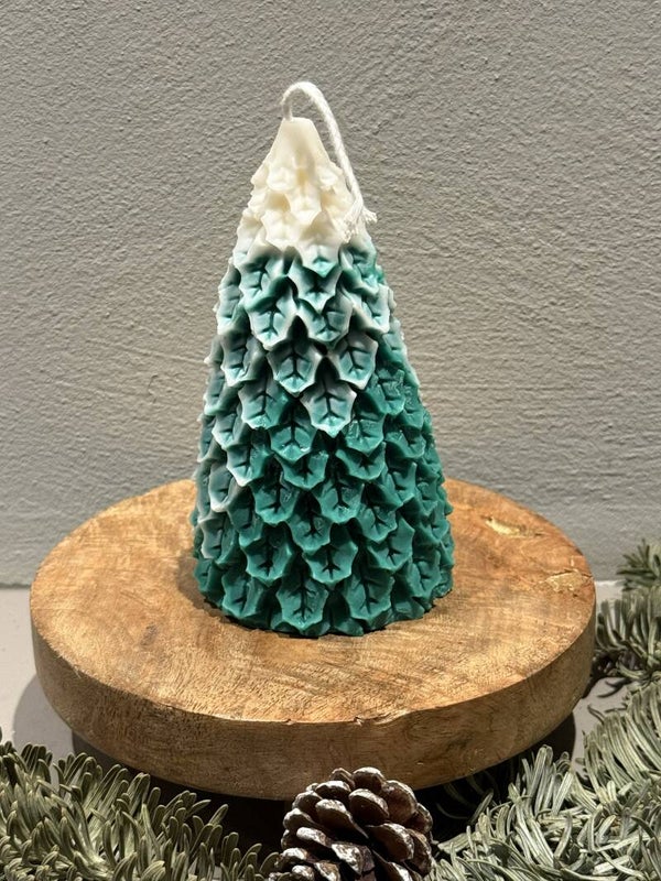 Besneeuwde kerstboom