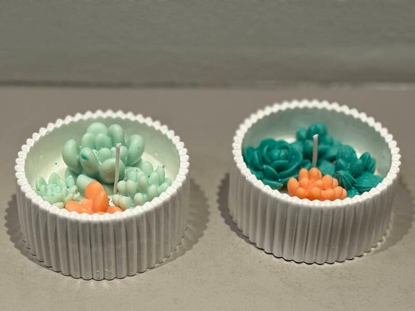 Decoratieve Cactuskaars in ribbel potje