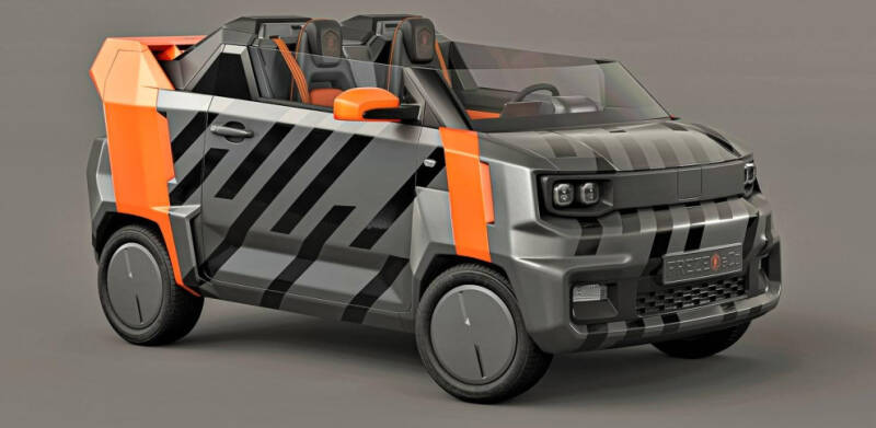 Freze Froggy EV Beachstar