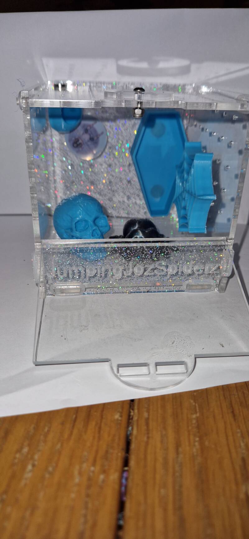 small enclosure set up | Jumping Joz Spiderz