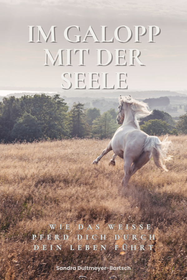 Im Galopp mit der Seele - Wie das weiße Pferd dich durch dein Leben führt