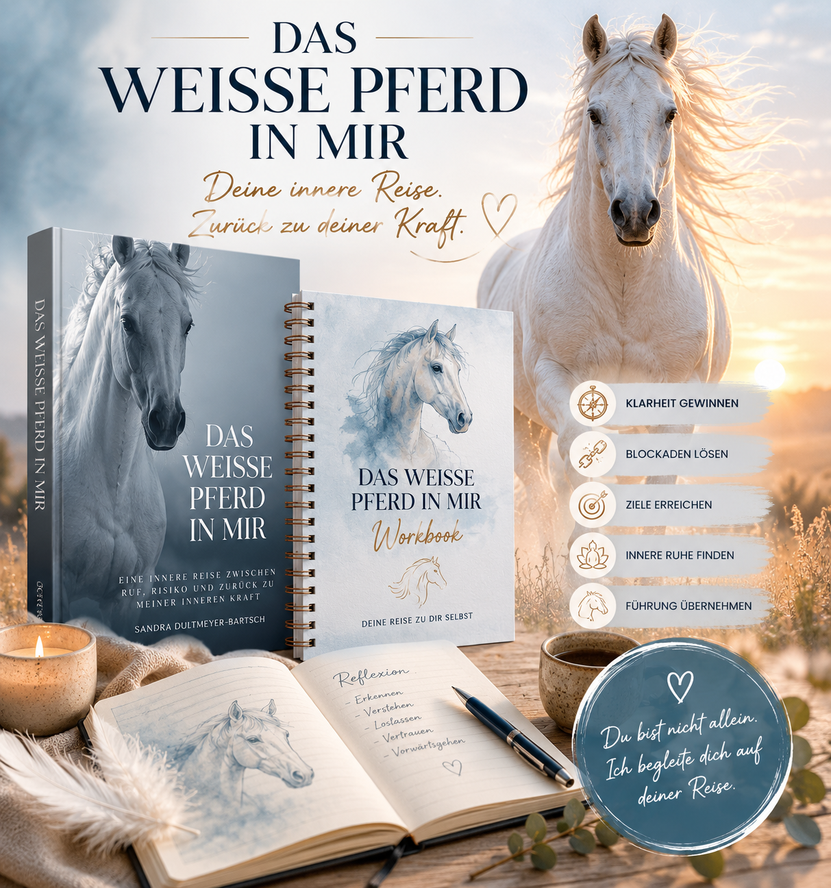 Das weisse Pferd Starter-Bundle