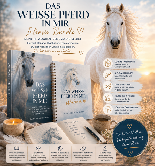 Intensiv-Bundle: Deine Reise mit dem weissen Pferd