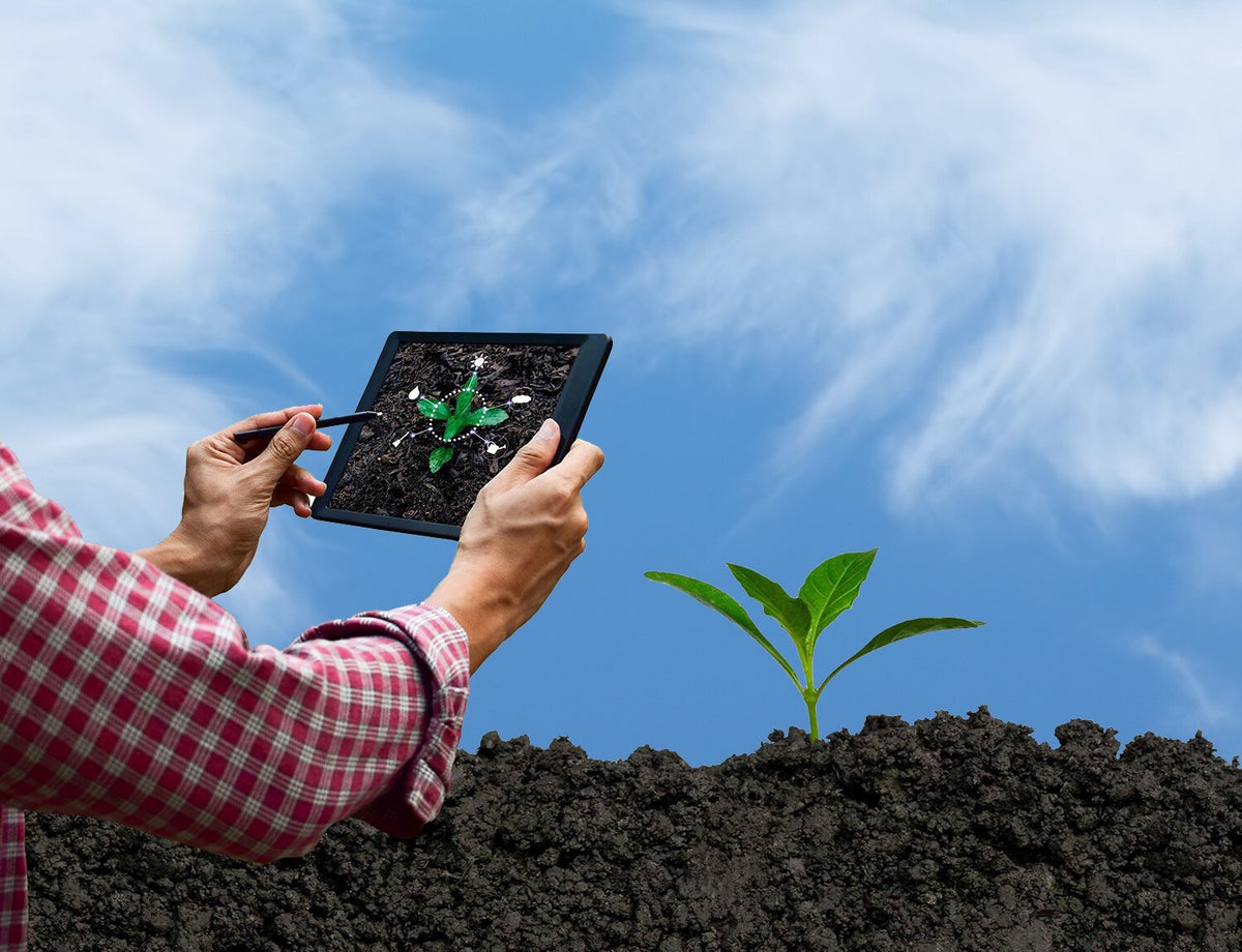 Blog agro