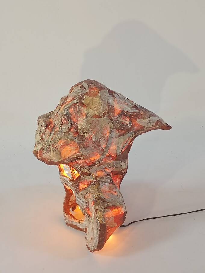 dit is een uniek lichtobject 