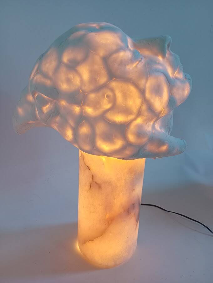 dit is een lichtsculptuur van yarka neutens, het is uniek in zijn vormgeving met porselein 