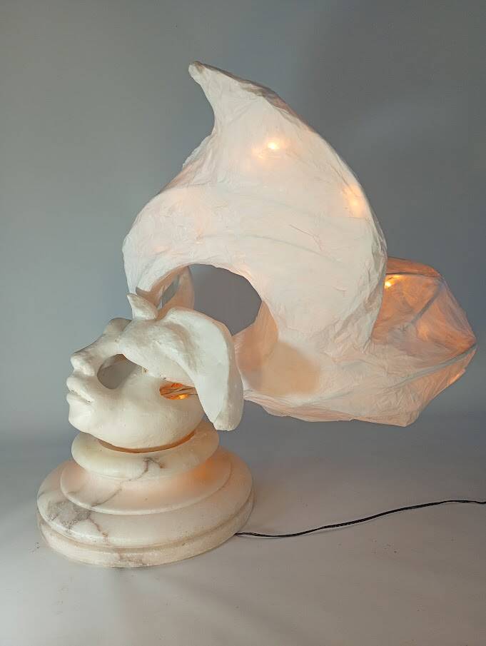 Belgische artist maakt lichtsculpturen 
