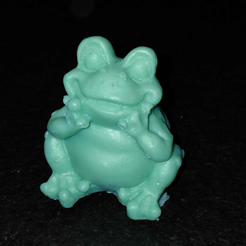 zittende en liggende kikker