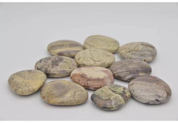 Zilverblad Jaspis schijfsteen