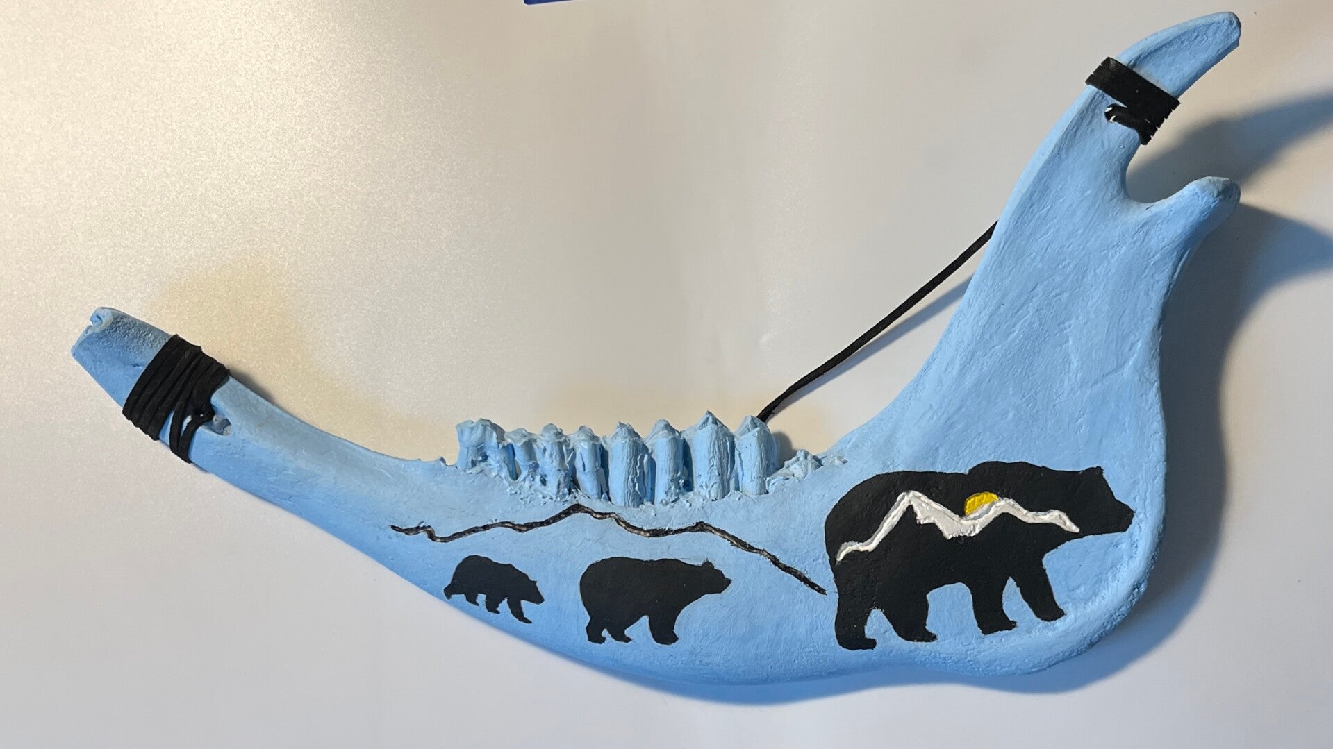 Mountain Bear Jawbone