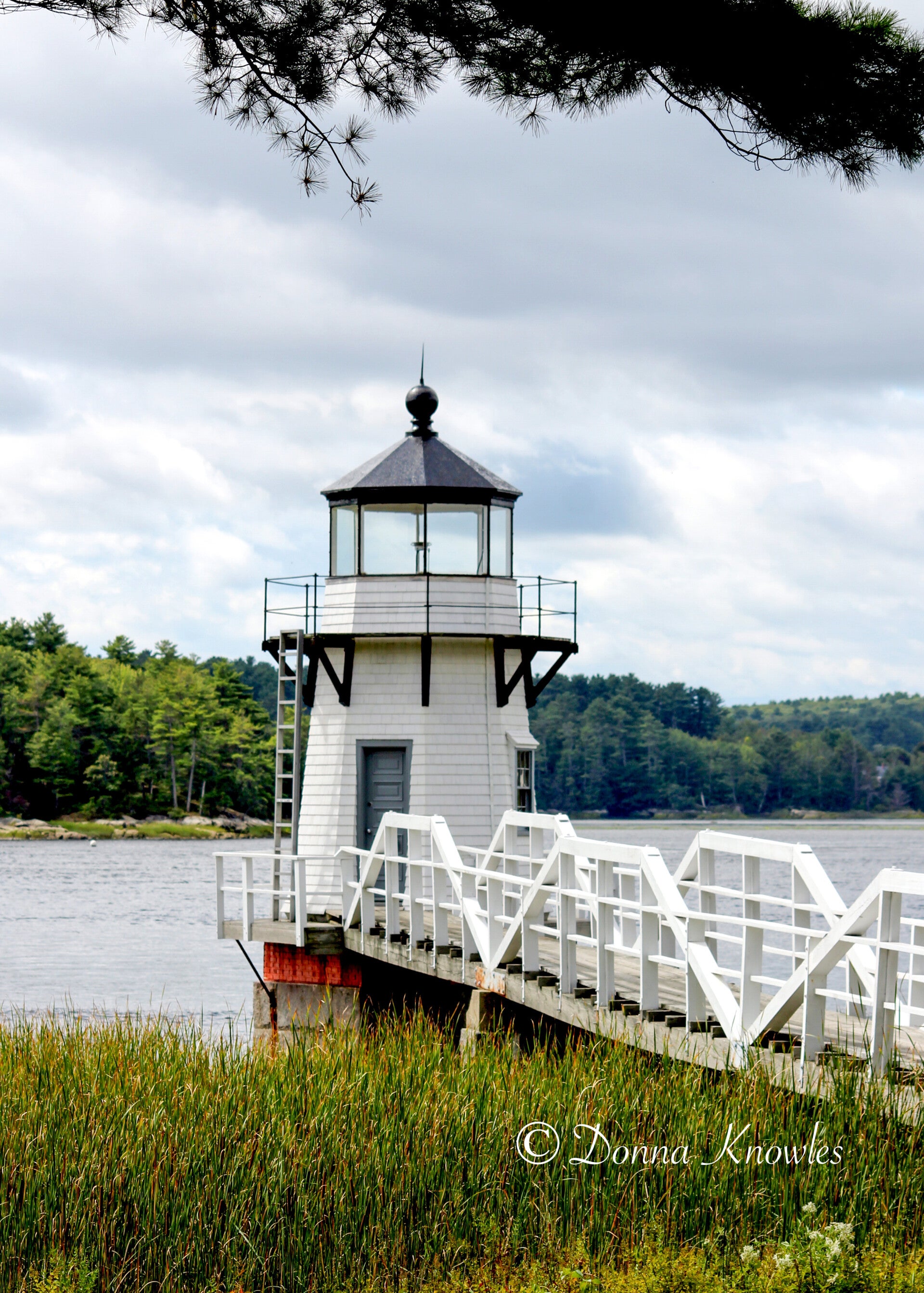 Doubling Point Light