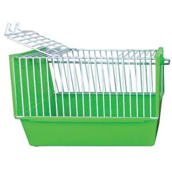 A&E Cage Company Plastic Economy Travel Carrier Turtle, Guinea Pig, Hermit Crab, Bird, Gerbil, Mouse, Chinchilla. Hamster, Ferret and Rat Carrier (A&E)