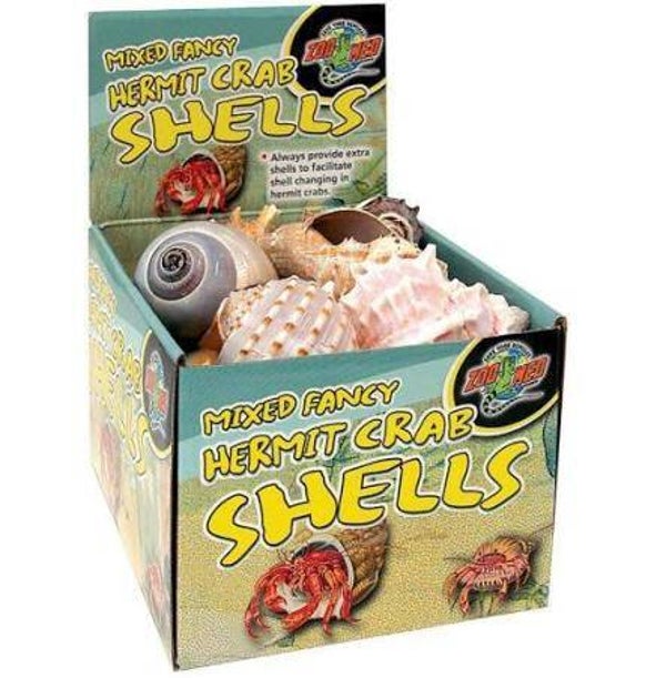 Hermit Crab Shell