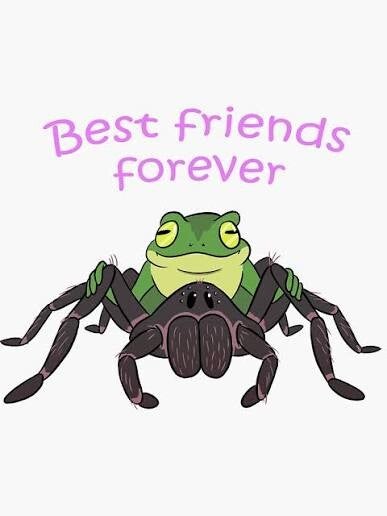 Invertebrates & Amphibians Boarding -  Weekly