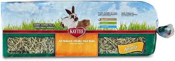 Kaytee All Natural Alfalfa Hay for Rabbits Guinea Pigs and Small Animals