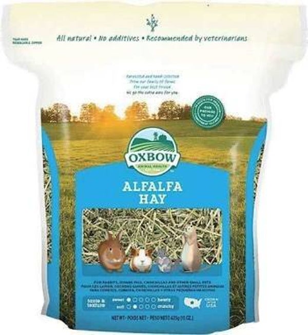 Oxbow Alfalfa Hay Dry Small Animal Food 15 Oz