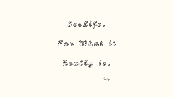 Written Poem