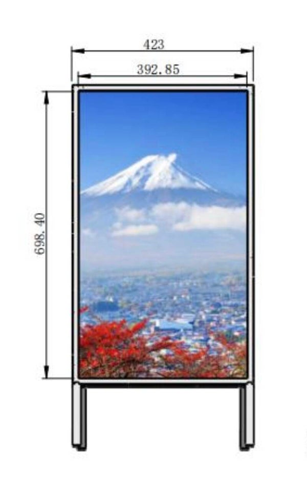 32' LED Screen Display