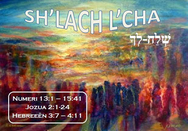 Shalecha Timetable Parasha Shelach Lecha / Numeri / Bijbelstudies Tora | Jaïr Bijbelstudies