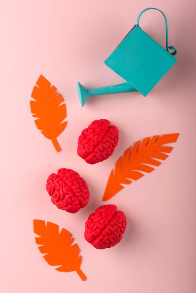 still-life-with-human-brains-watering-can