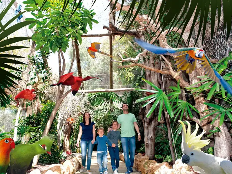 Jungle Park Tenerife