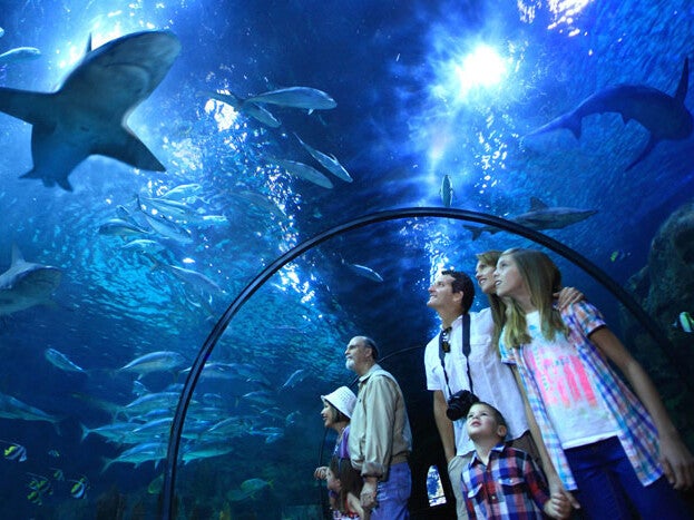 Kinderactiviteiten op Tenerife