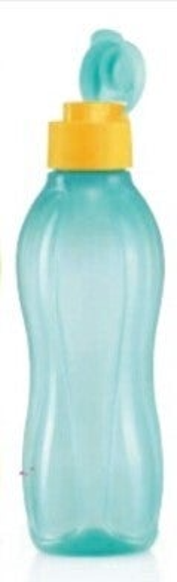 Ecofles Plus 750ml, Blauw-Oranje/geel