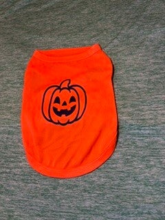 Halloween Pumpkin Small