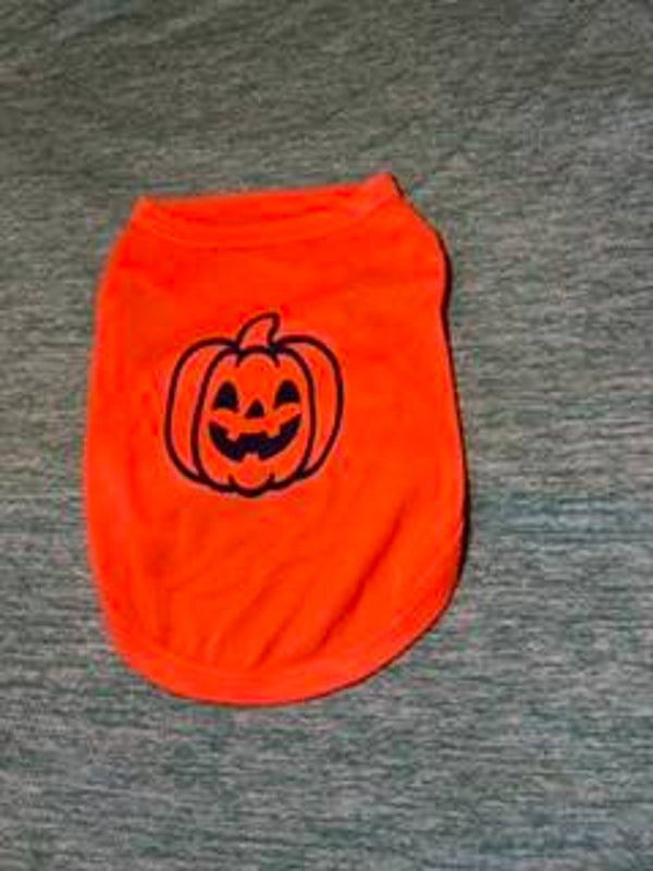 Halloween Pumpkin Small