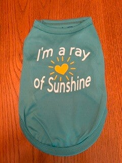 Ray of Sunshine Small