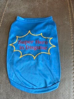 Super Hero in Disguise Small
