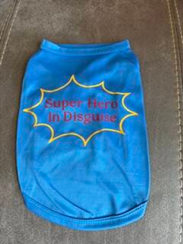 Super Hero in Disguise Small
