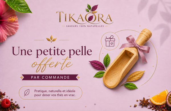 Petite pelle offerte