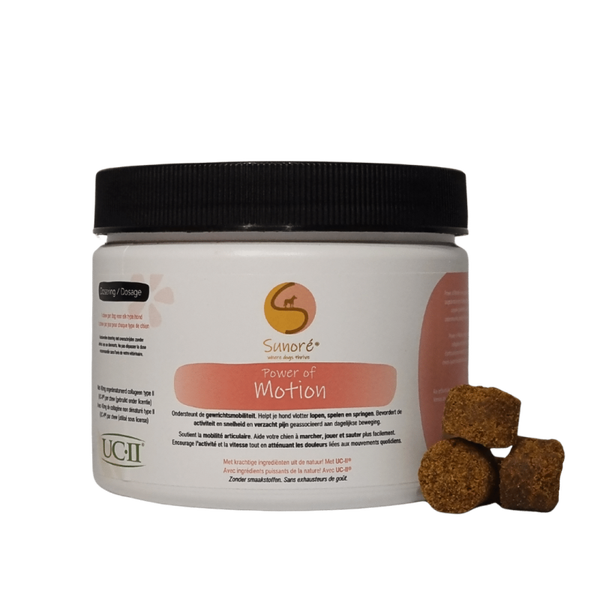 Power of Motion – De n°1 gewrichtsondersteuning voor honden – met UCII®