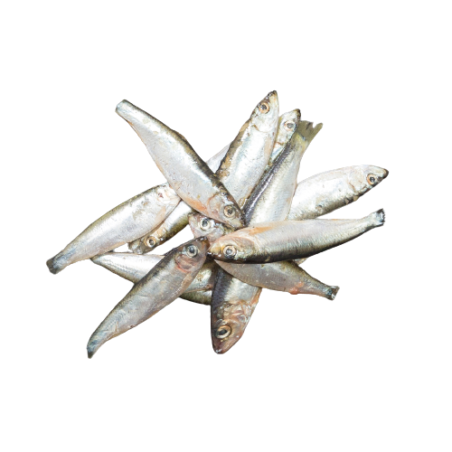 KB Barf Sprotjes 1kg of 6kg