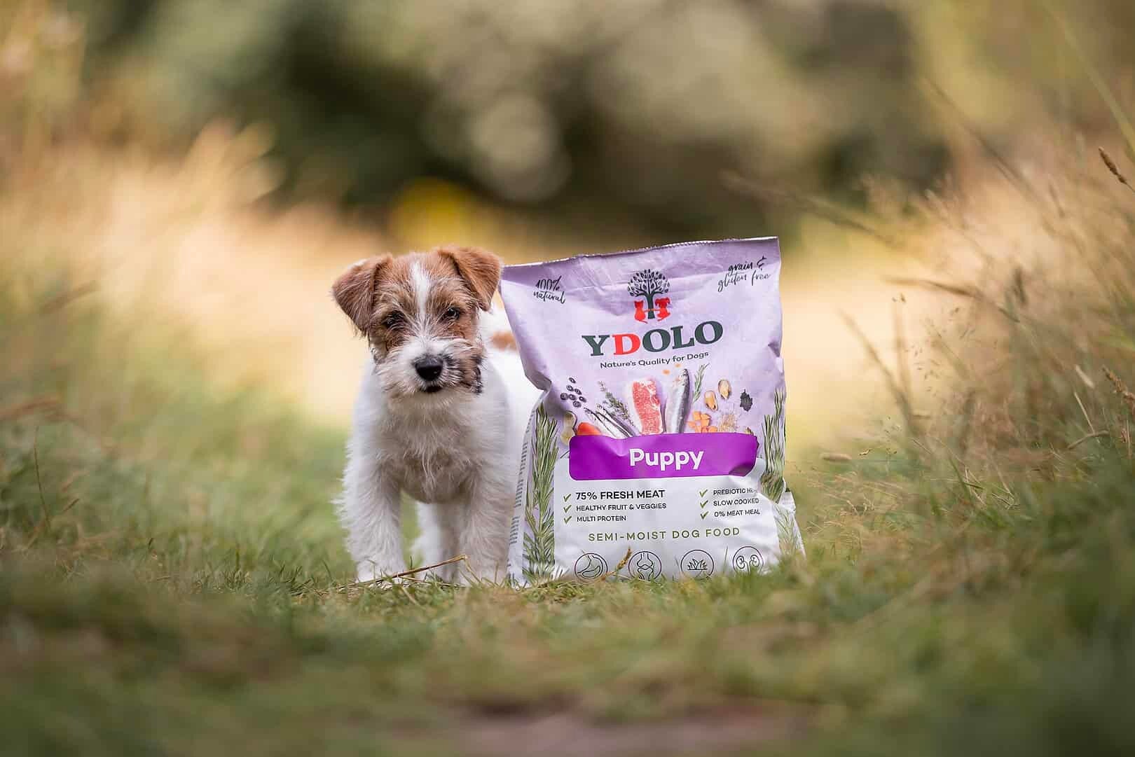 Ydolo Healthy & Fresh – Puppy 10kg