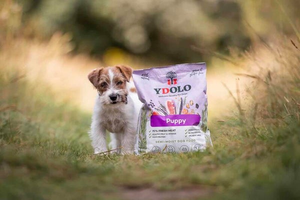 Ydolo Healthy & Fresh – Puppy 10kg