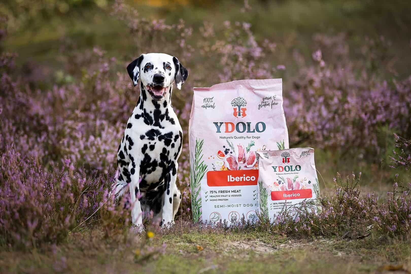 Ydolo Healthy & Fresh – Iberico 10kg